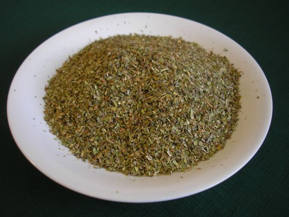 Oregano.JPG