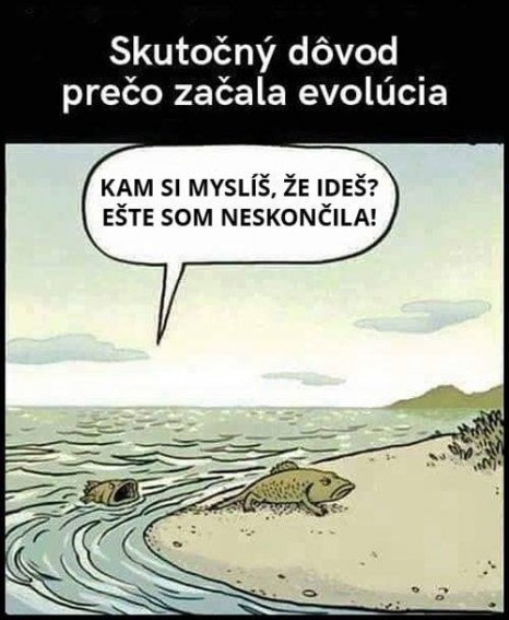 evolucia.jpg