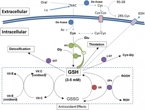 Glutathione.jpg