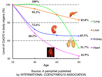 Coenzyme Q10 decreasing with age.jpg