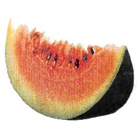 wassermelone.jpg