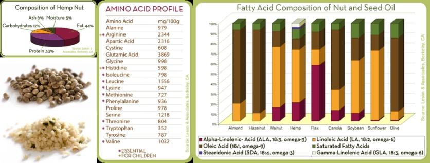 Hemp seed.jpg