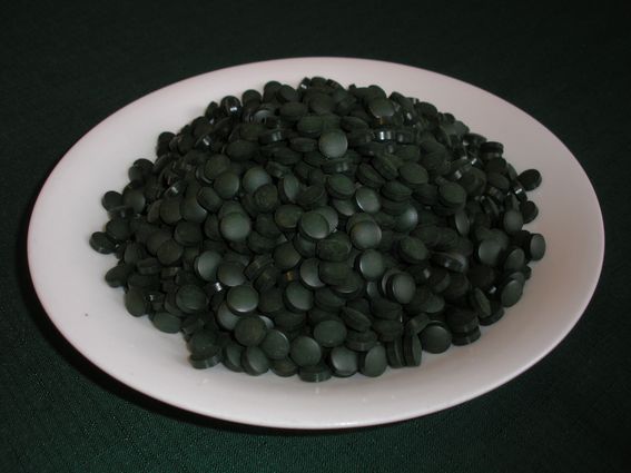 Spirulina.JPG