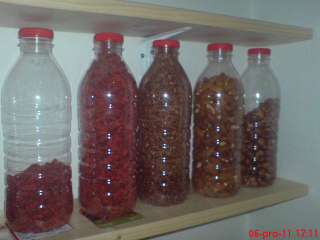 xDSC00502.jpg