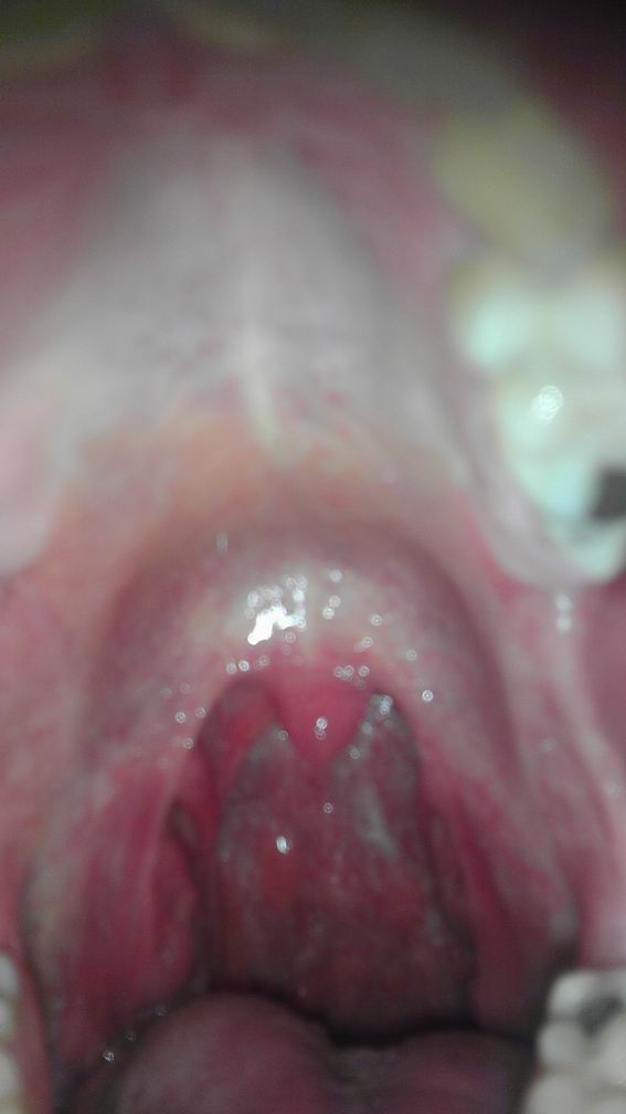 IMAG0007.jpg