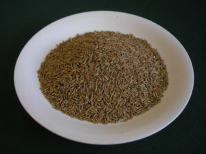 Římský kmín-cumin.JPG
