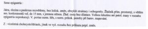 Sono žlučníku.jpg