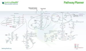Pathway Planner.jpg