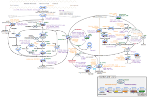 methylation.png